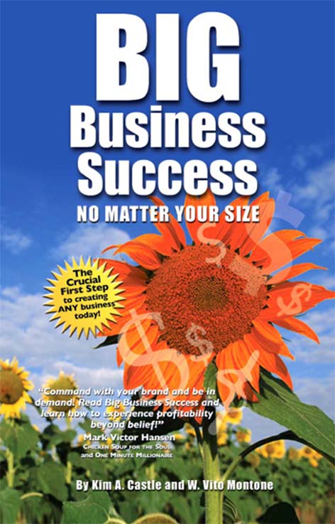 Big Business Success - Workbook- BrandU - Kim Castle and W. Vito Montone - image